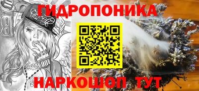 прущие грибы Коммунар