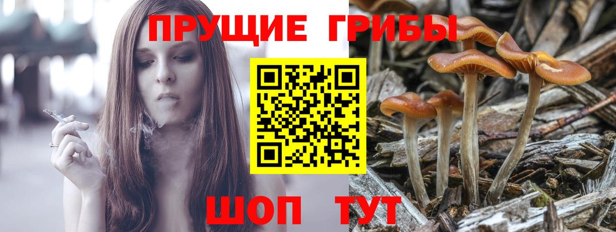 Псилоцибиновые грибы Magic Shrooms Кириши