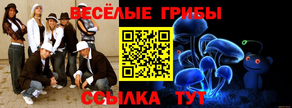 Галлюциногенные грибы Cubensis  Псилоцибиновые грибы прущие грибы  Вход с VPN  Кириши 